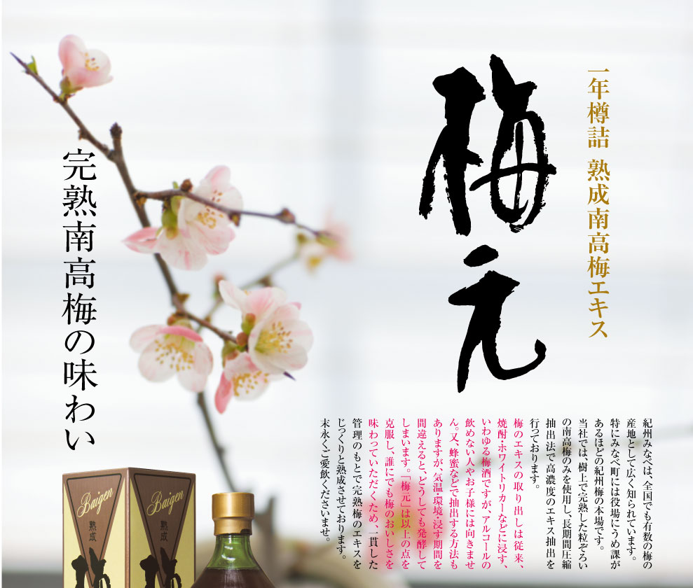 梅元リザーブ株式会社