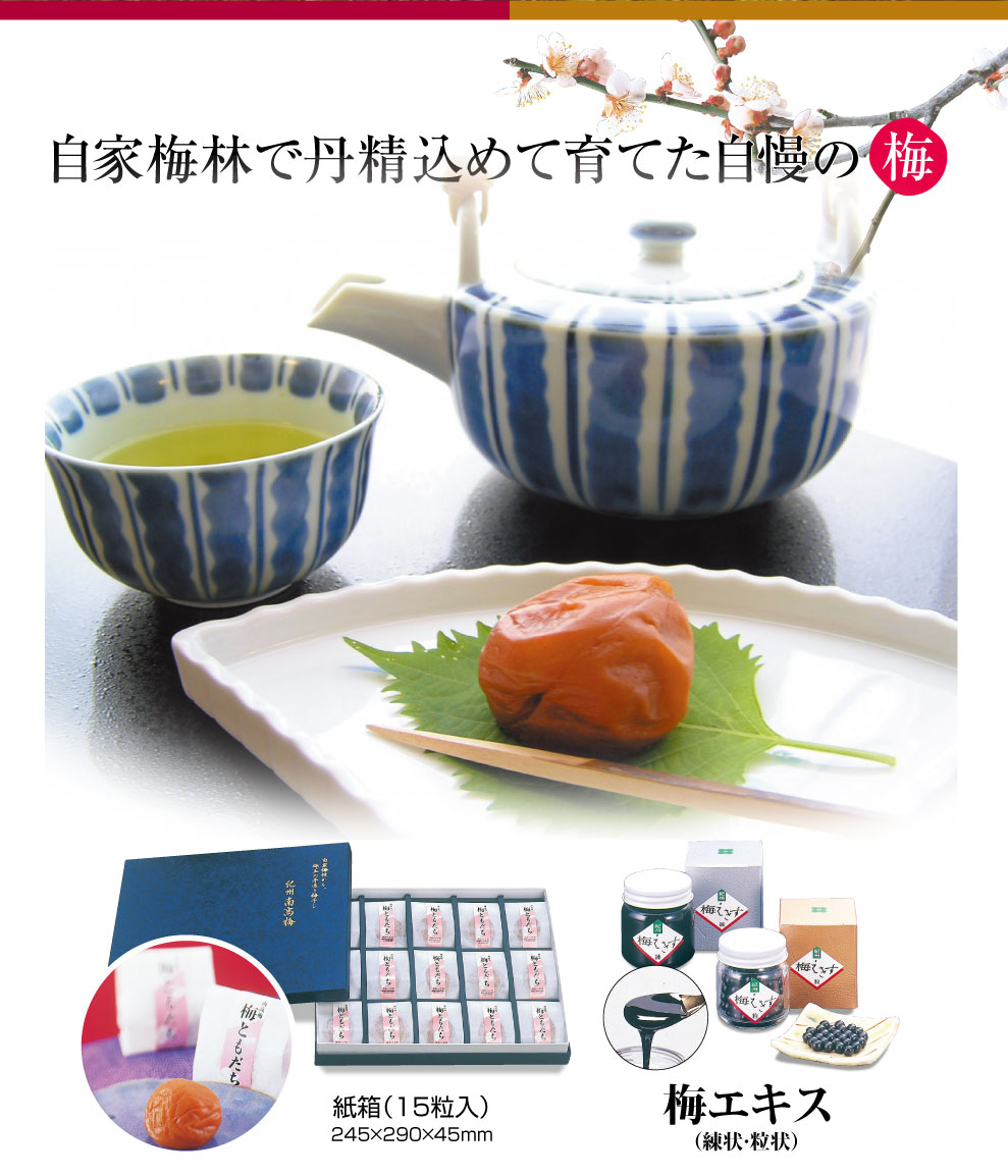南部梅林　みかへりや
