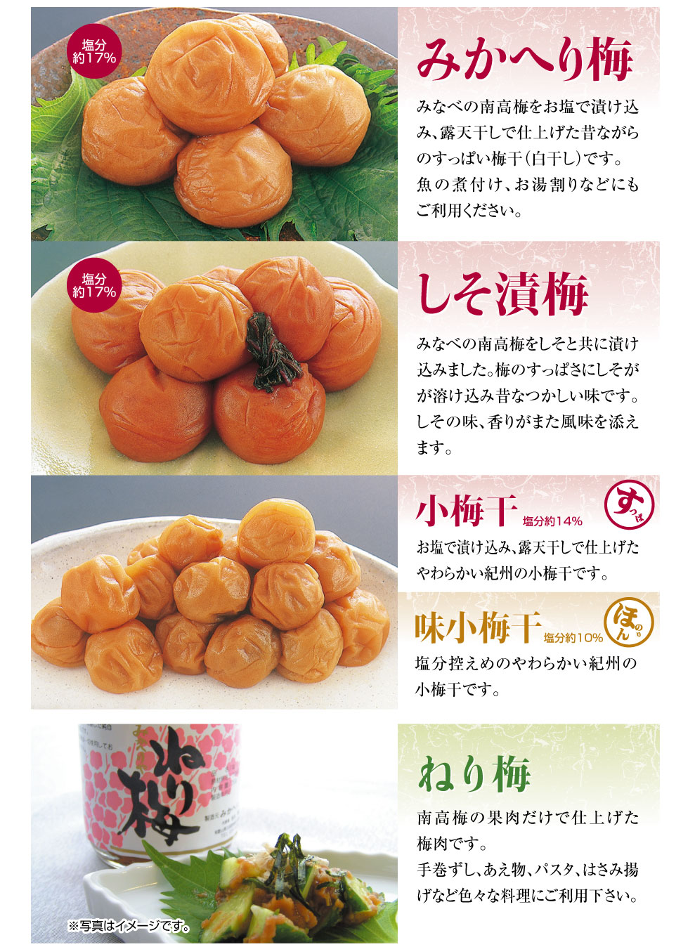 南部梅林　みかへりや