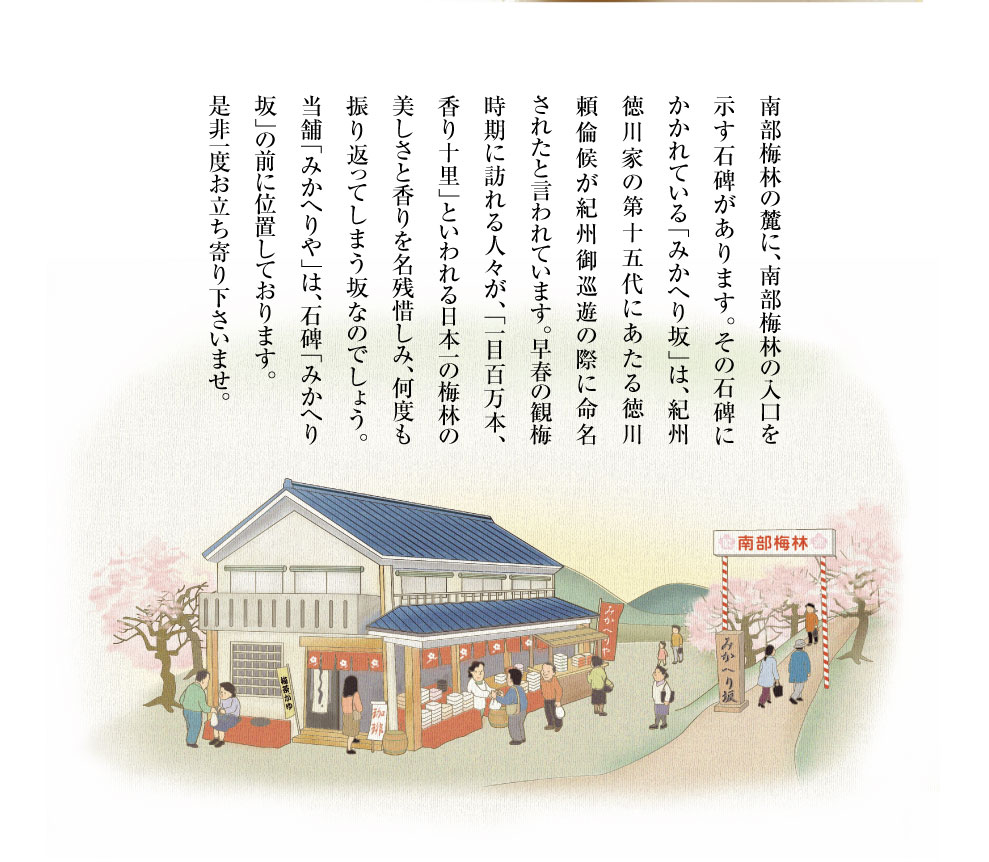 南部梅林　みかへりや