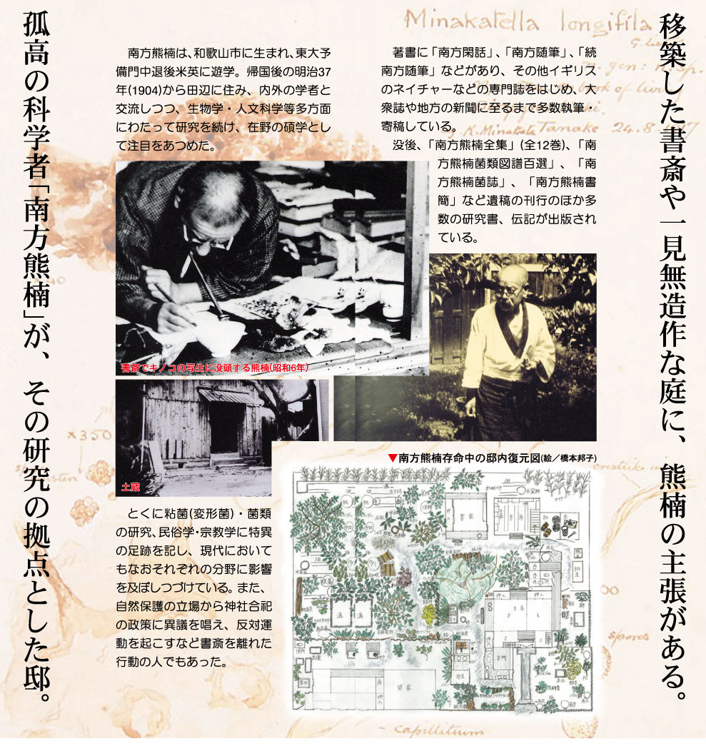 南方熊楠顕彰館