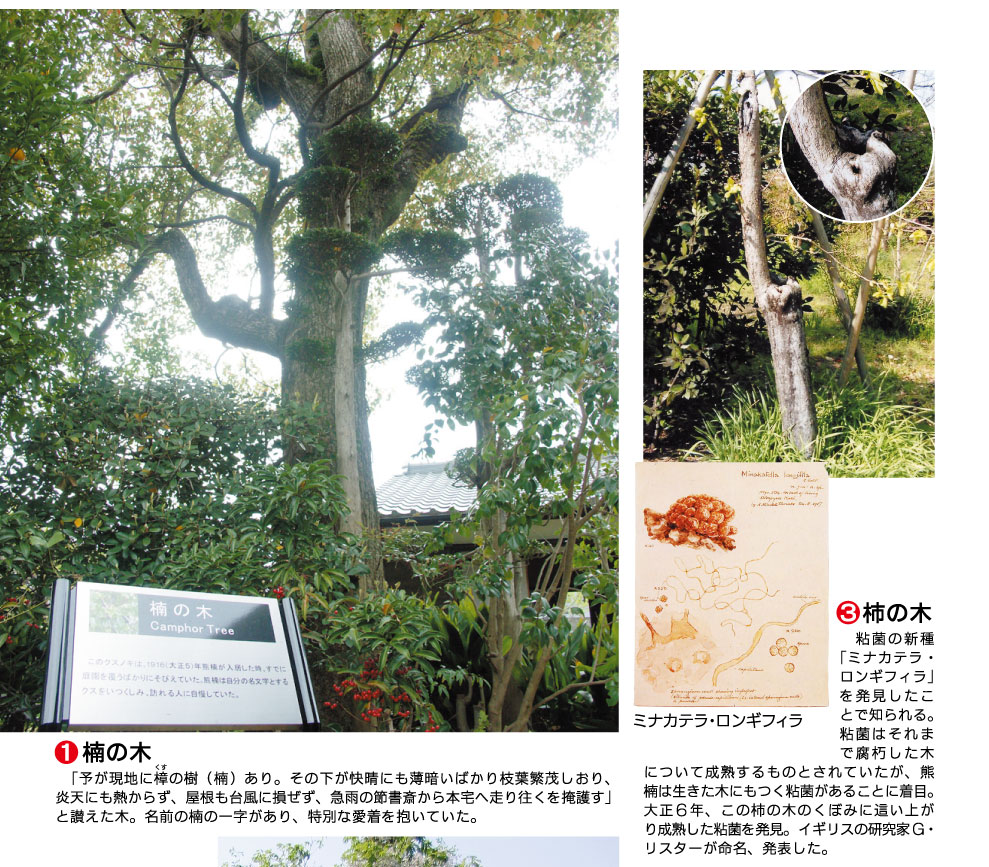 南方熊楠顕彰館