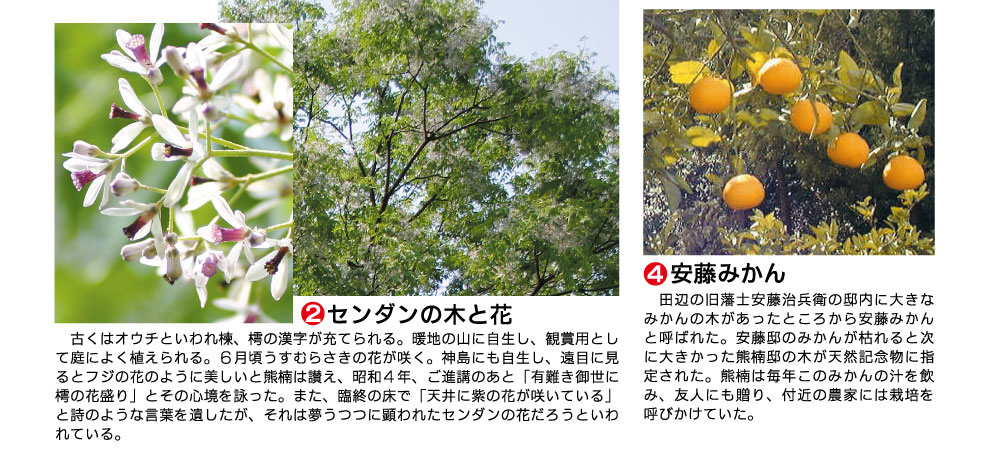 南方熊楠顕彰館