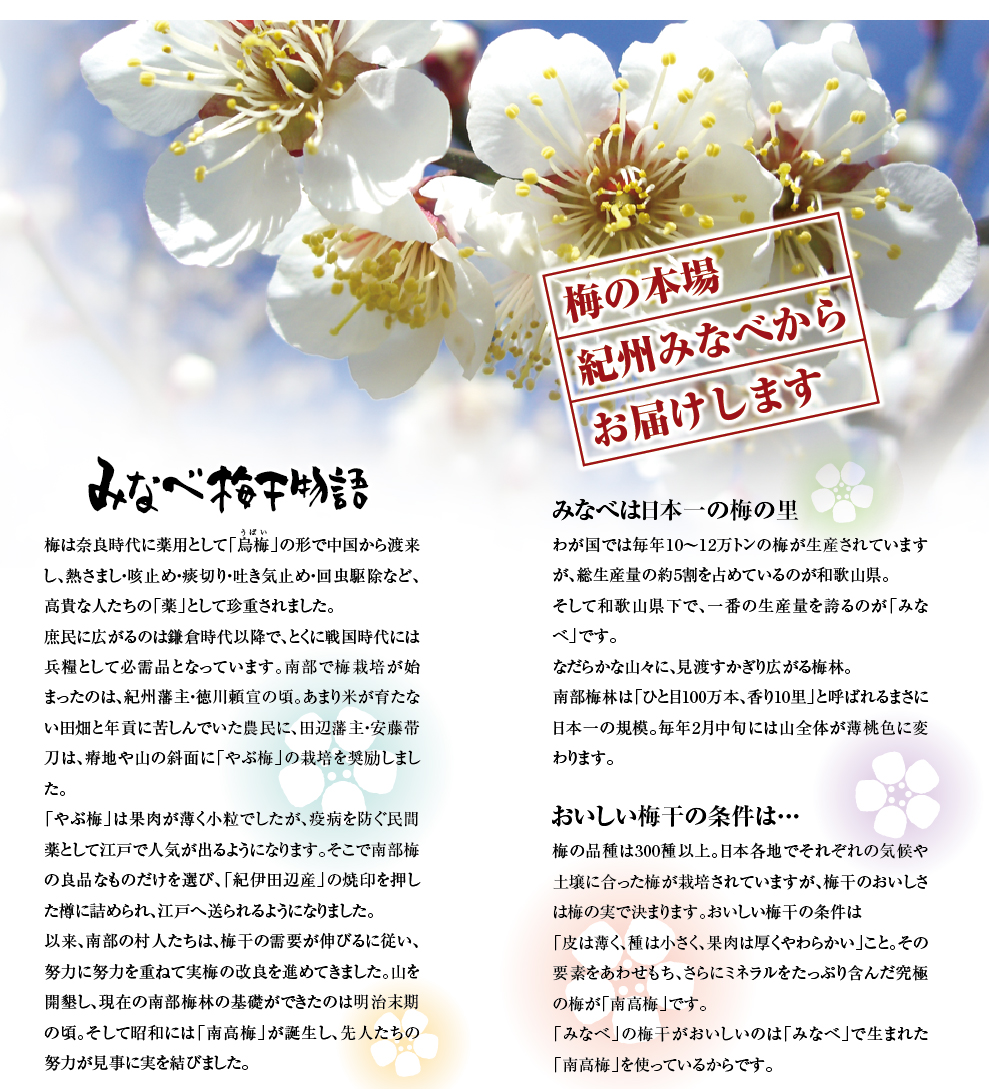 �i���H�i�������