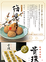 紀州・南部川　梅見月