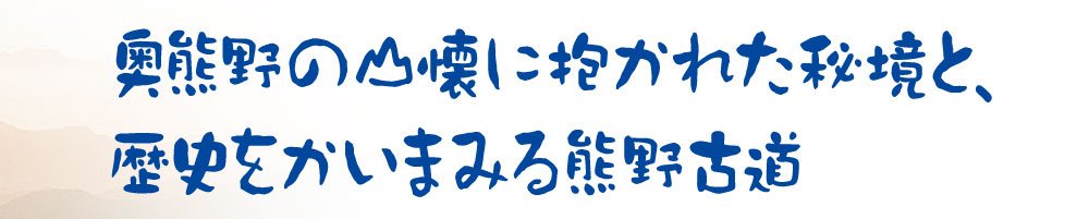 奥熊野の古湯　湯の峰荘