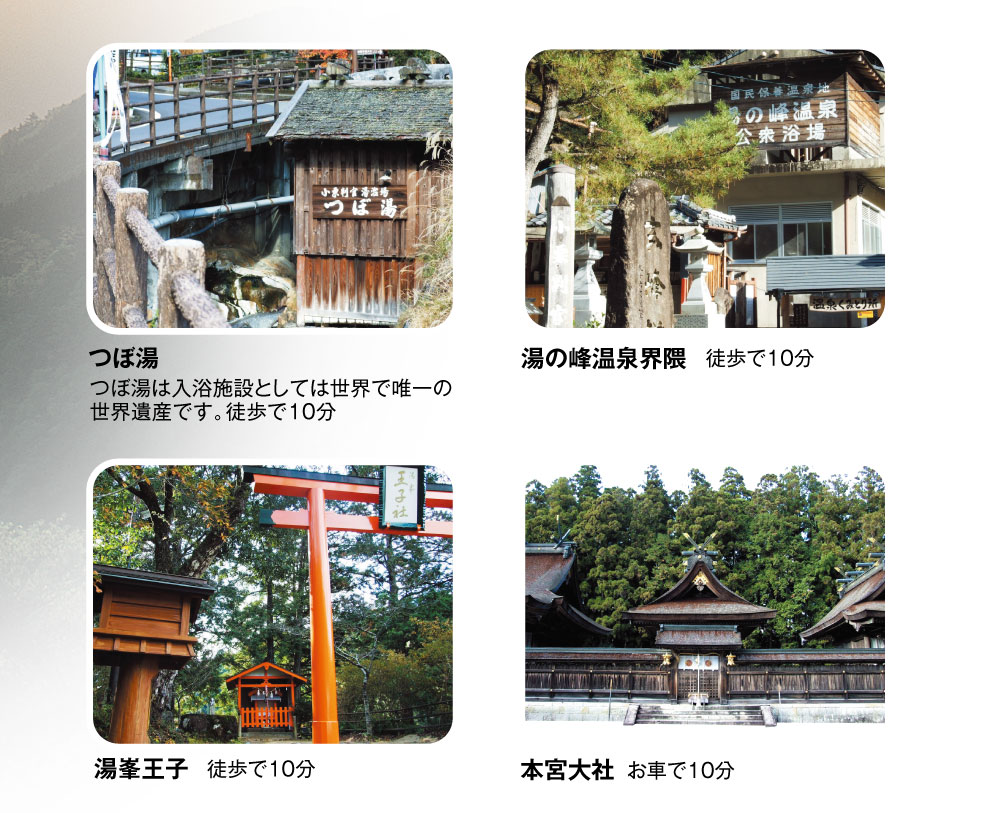奥熊野の古湯　湯の峰荘