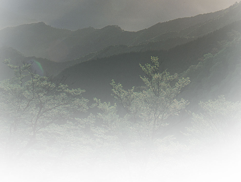 奥熊野の古湯　湯の峰荘