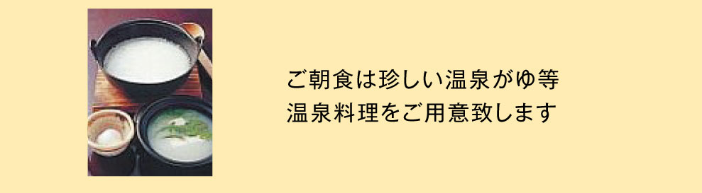 奥熊野の古湯　湯の峰荘